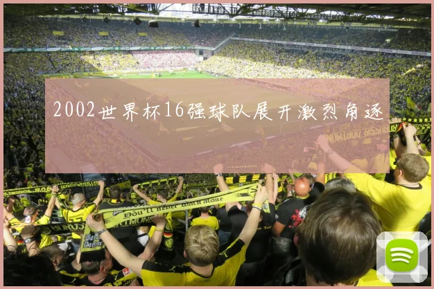 2002世界杯16强球队展开激烈角逐
