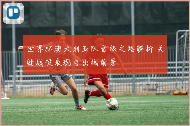世界杯澳大利亚队晋级之路解析 关键战役表现与出线前景