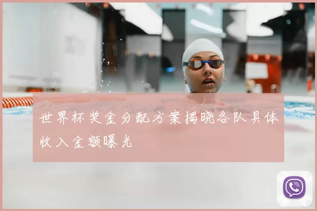 世界杯奖金分配方案揭晓各队具体收入金额曝光