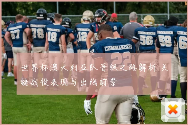 世界杯澳大利亚队晋级之路解析 关键战役表现与出线前景