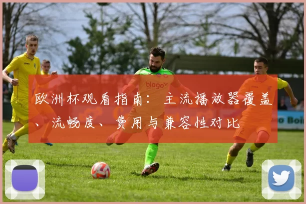 欧洲杯观看指南:主流播放器覆盖、流畅度、费用与兼容性对比
