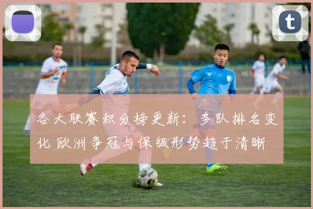 各大联赛积分榜更新:多队排名变化 欧洲争冠与保级形势趋于清晰