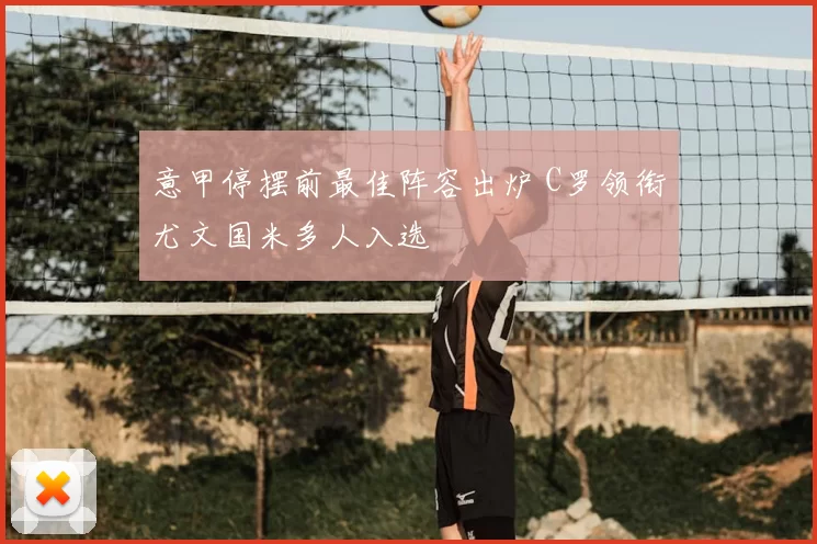 意甲停摆前最佳阵容出炉 C罗领衔尤文国米多人入选