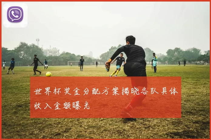世界杯奖金分配方案揭晓各队具体收入金额曝光