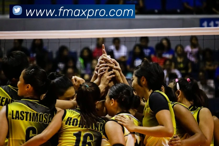 华体育app官网登录APP 封面图